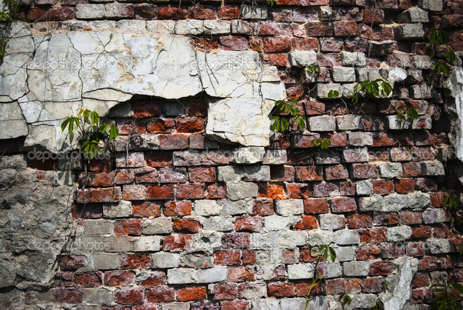 Стена ком. Разрушенная стена с цветами. Разрушенная стена в интерьере. Разрушенная кирпичная стена в интерьере. Полуразрушенная стена с растениями.